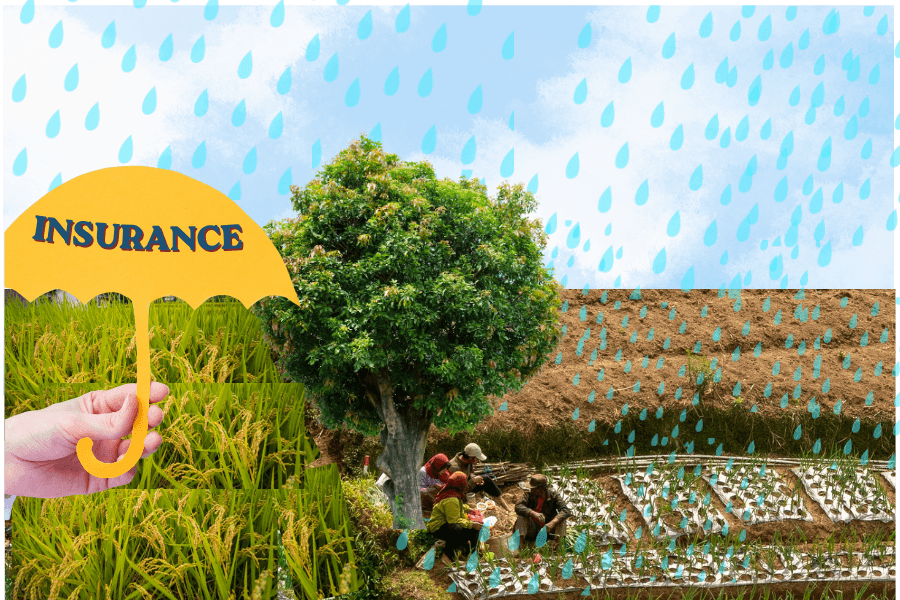 From Adoption To Coverage Depth In Crop Insurance