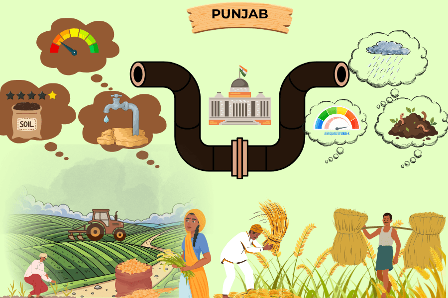Rethinking Agricultural Subsidies Through Ecosystem Incentives Rethinking Agricultural Subsidies Through Ecosystem Incentives