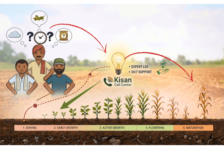 Why Timing of Farm Advice Determines Crop Yield Gains