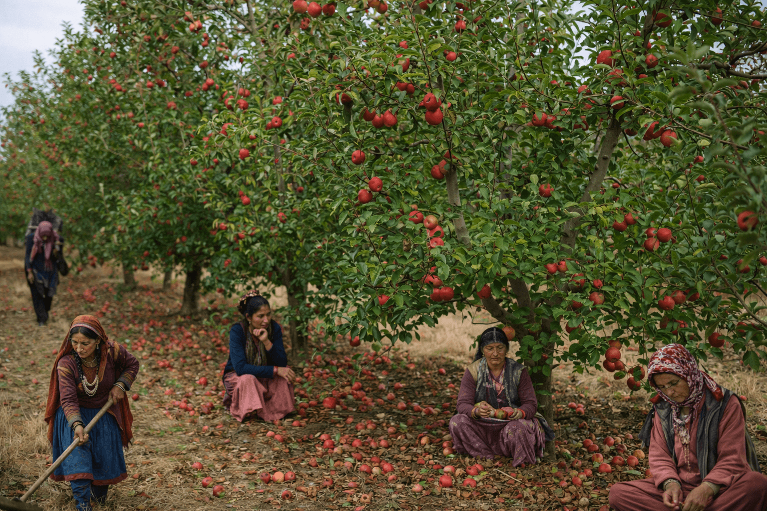 Hidden Subsidies, Fragile Farms: How Women’s Unpaid Labour Sustains Kashmir’s Agrarian Economy
