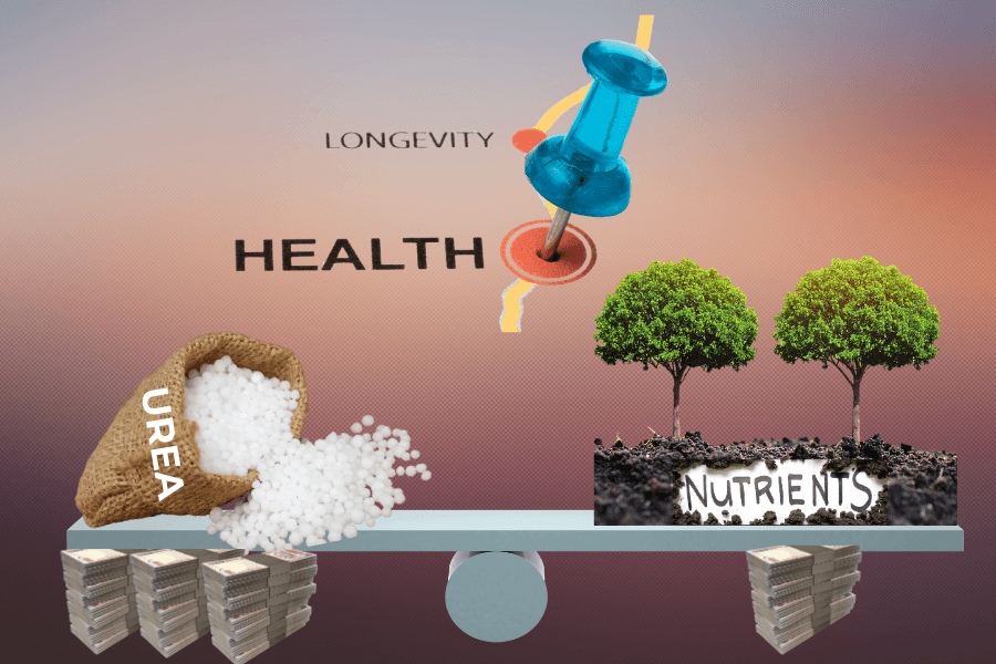 Cheap Urea, Costly Consequences: Rethinking India’s Fertilizer Subsidies