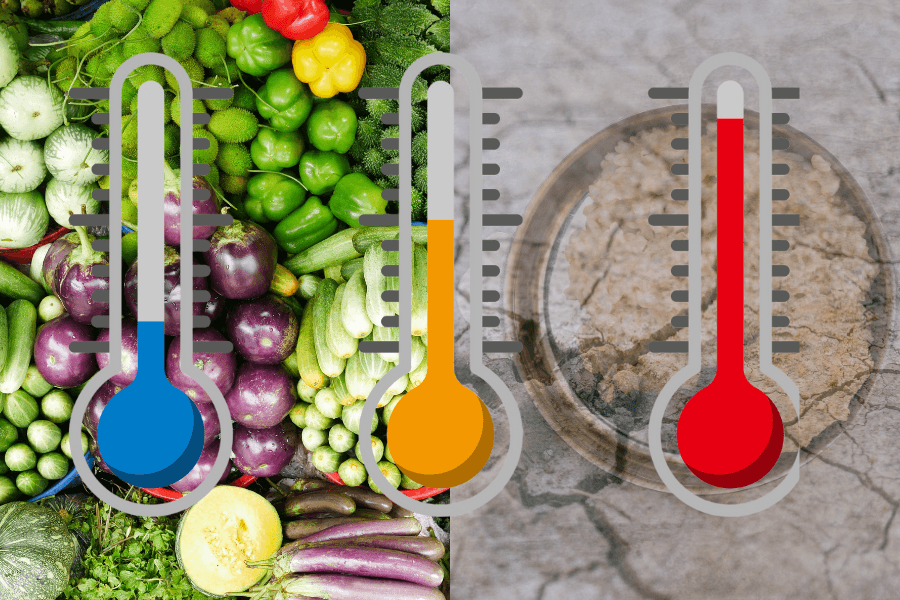 A New Kind of Climate Hunger: The Climate Risk India Has Yet to Recognise A New Kind of Climate Hunger: The Climate Risk India Has Yet to Recognise