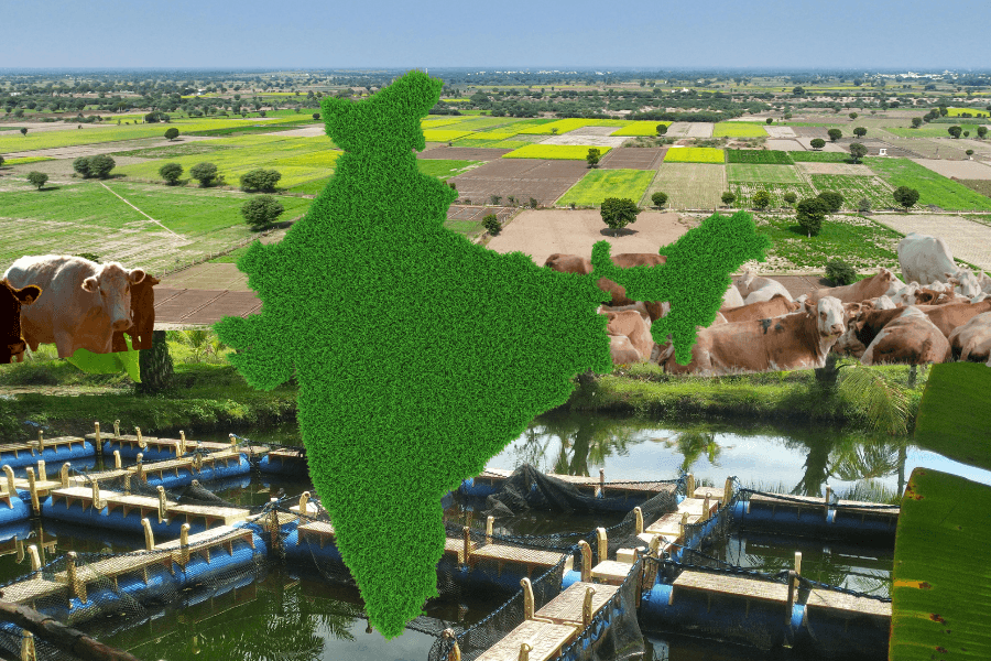 Beyond Crops: Why India’s Agricultural Growth Now Depends on Allied Sectors Beyond Crops: Why India’s Agricultural Growth Now Depends on Allied Sectors